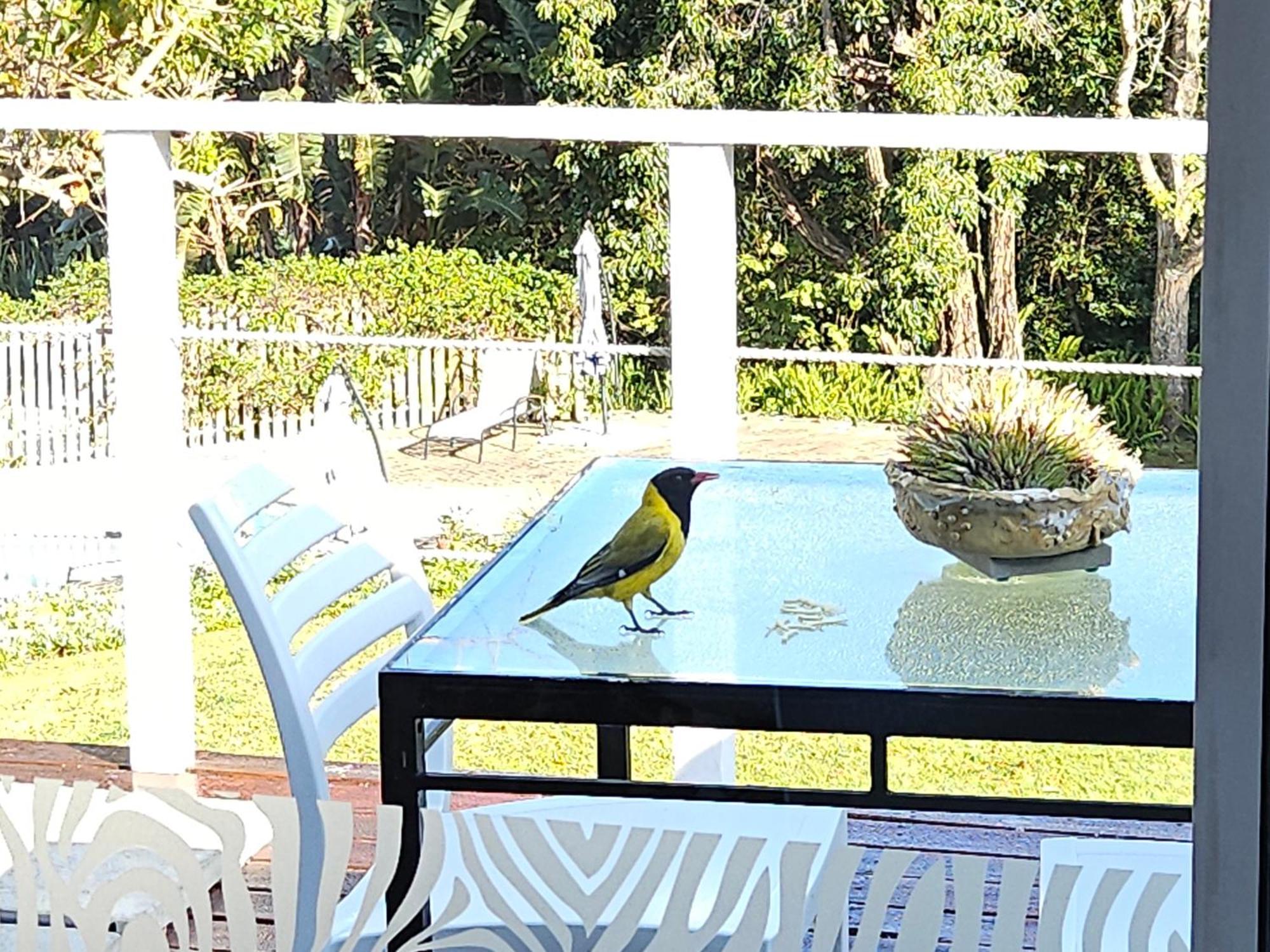 Stannards Guest Lodge Knysna Exteriör bild