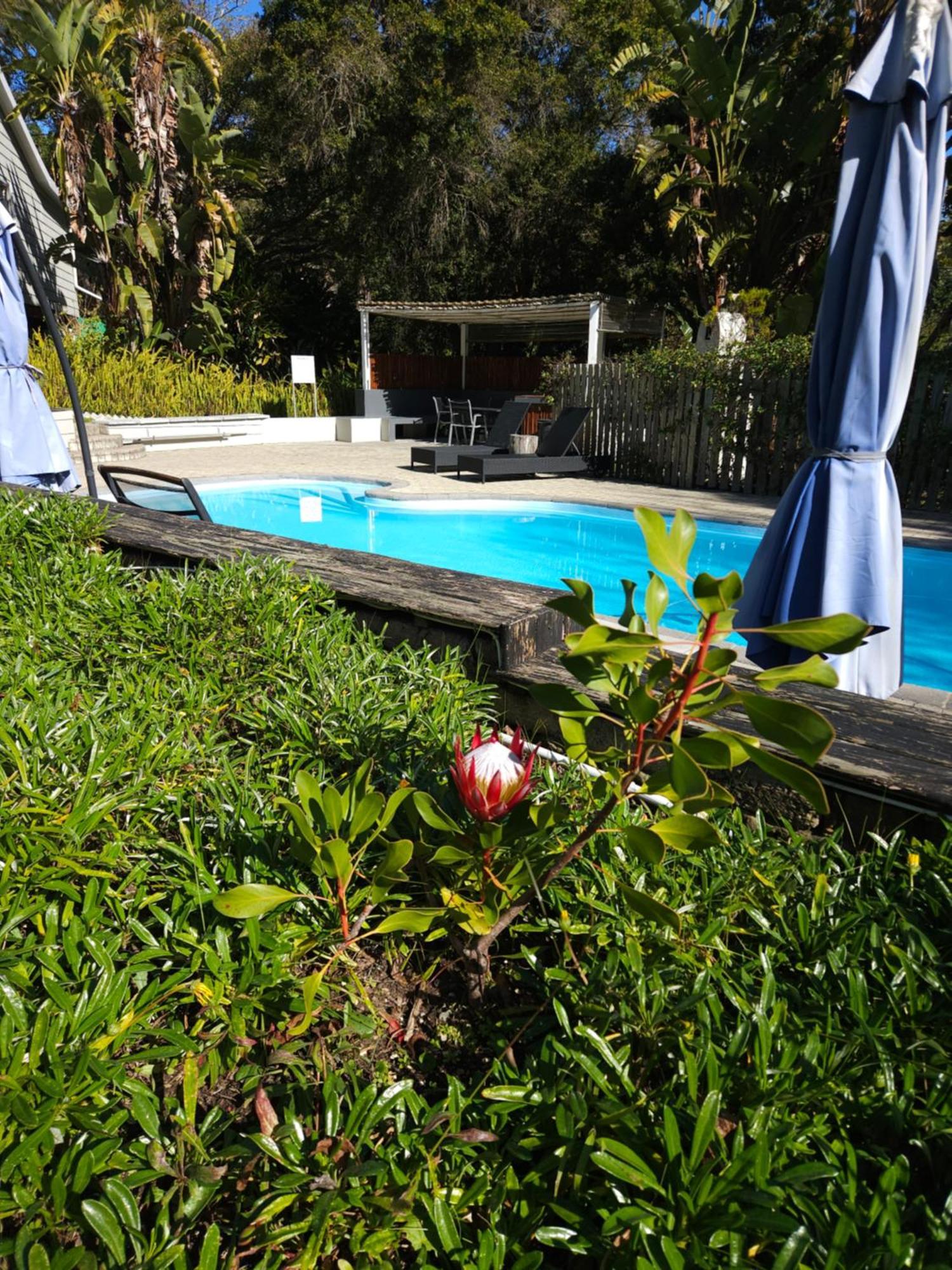 Stannards Guest Lodge Knysna Exteriör bild